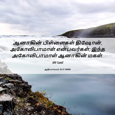 Picture 06 - ஆதியாகமம் 36:25 TAMIRV - ஆனாகின் பிள்ளைகள் - Bible Verse Picture