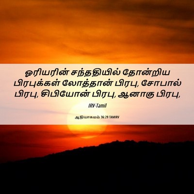 Picture 06 - ஆதியாகமம் 36:29 TAMIRV - ஓரியரின் - Bible Verse Picture