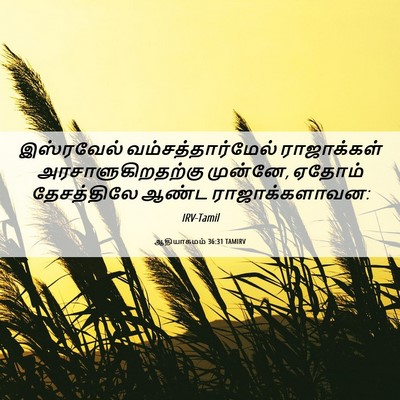 Picture 06 - ஆதியாகமம் 36:31 TAMIRV - இஸ்ரவேல் - Bible Verse Picture