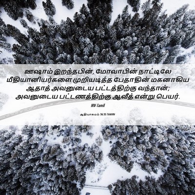 Picture 06 - ஆதியாகமம் 36:35 TAMIRV - ஊஷாம் இறந்தபின், - Bible Verse Picture