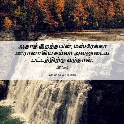 Picture 06 - ஆதியாகமம் 36:36 TAMIRV - ஆதாத் இறந்தபின், - Bible Verse Picture