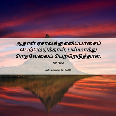 Picture 06 - ஆதியாகமம் 36:4 TAMIRV - ஆதாள் ஏசாவுக்கு - Bible Verse Picture