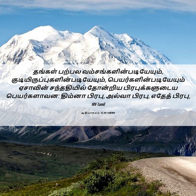 Picture 06 - ஆதியாகமம் 36:40 TAMIRV - தங்கள் பற்பல - Bible Verse Picture
