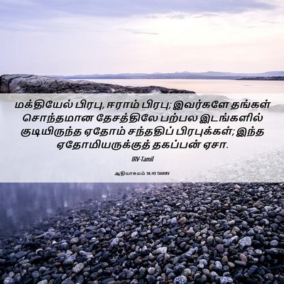 Picture 06 - ஆதியாகமம் 36:43 TAMIRV - மக்தியேல் பிரபு, - Bible Verse Picture