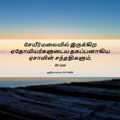 Picture 06 - ஆதியாகமம் 36:9 TAMIRV - சேயீர்மலையில் - Bible Verse Picture