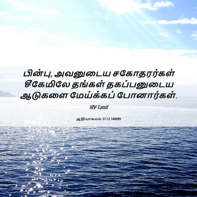 Picture 06 - ஆதியாகமம் 37:12 TAMIRV - பின்பு, அவனுடைய - Bible Verse Picture
