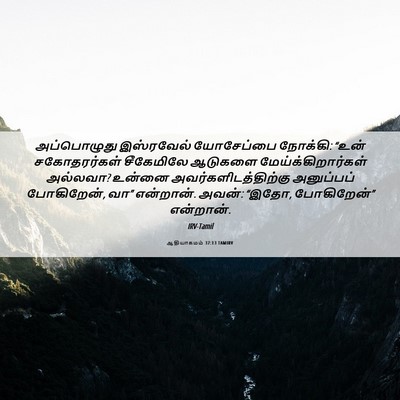 Picture 06 - ஆதியாகமம் 37:13 TAMIRV - அப்பொழுது - Bible Verse Picture