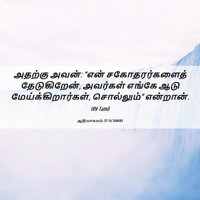 Picture 06 - ஆதியாகமம் 37:16 TAMIRV - அதற்கு அவன்: “என் - Bible Verse Picture