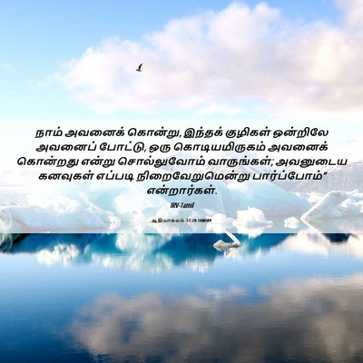 Picture 06 - ஆதியாகமம் 37:20 TAMIRV - நாம் அவனைக் - Bible Verse Picture
