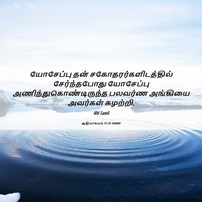 Picture 06 - ஆதியாகமம் 37:23 TAMIRV - யோசேப்பு தன் - Bible Verse Picture