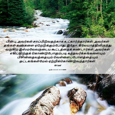 Picture 06 - ஆதியாகமம் 37:25 TAMIRV - பின்பு, அவர்கள் - Bible Verse Picture