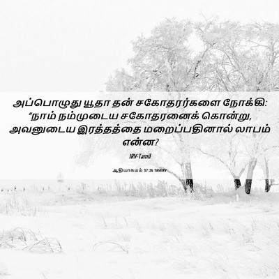 Picture 06 - ஆதியாகமம் 37:26 TAMIRV - அப்பொழுது யூதா - Bible Verse Picture