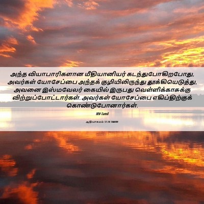 Picture 06 - ஆதியாகமம் 37:28 TAMIRV - அந்த வியாபாரிகளான - Bible Verse Picture