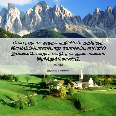Picture 06 - ஆதியாகமம் 37:29 TAMIRV - பின்பு, ரூபன் - Bible Verse Picture
