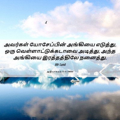 Picture 06 - ஆதியாகமம் 37:31 TAMIRV - அவர்கள் - Bible Verse Picture