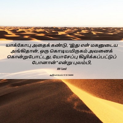 Picture 06 - ஆதியாகமம் 37:33 TAMIRV - யாக்கோபு அதைக் - Bible Verse Picture