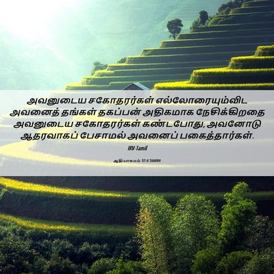 Picture 06 - ஆதியாகமம் 37:4 TAMIRV - அவனுடைய - Bible Verse Picture