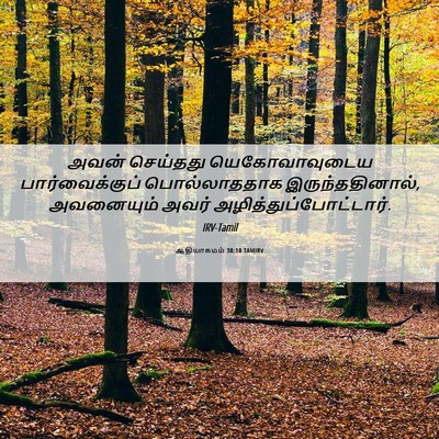 Picture 06 - ஆதியாகமம் 38:10 TAMIRV - அவன் செய்தது - Bible Verse Picture