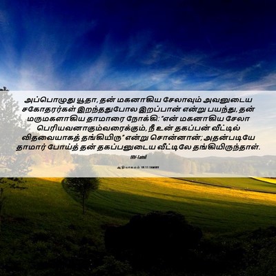 Picture 06 - ஆதியாகமம் 38:11 TAMIRV - அப்பொழுது யூதா, - Bible Verse Picture