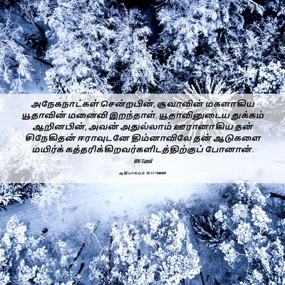 Picture 06 - ஆதியாகமம் 38:12 TAMIRV - அநேகநாட்கள் - Bible Verse Picture