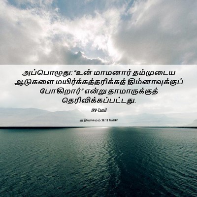 Picture 06 - ஆதியாகமம் 38:13 TAMIRV - அப்பொழுது: “உன் - Bible Verse Picture