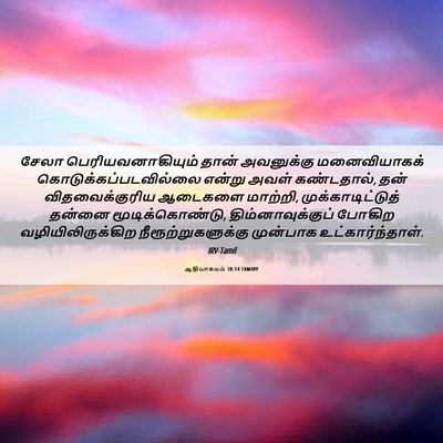 Picture 06 - ஆதியாகமம் 38:14 TAMIRV - சேலா - Bible Verse Picture