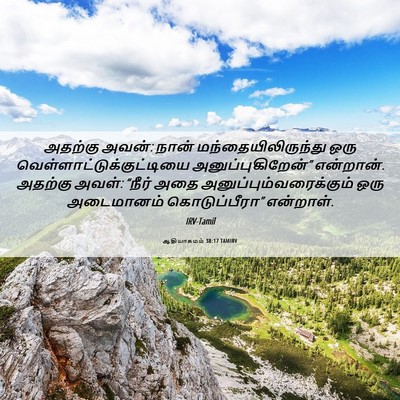 Picture 06 - ஆதியாகமம் 38:17 TAMIRV - அதற்கு அவன்: நான் - Bible Verse Picture