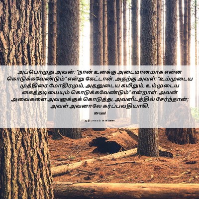 Picture 06 - ஆதியாகமம் 38:18 TAMIRV - அப்பொழுது அவன்: - Bible Verse Picture