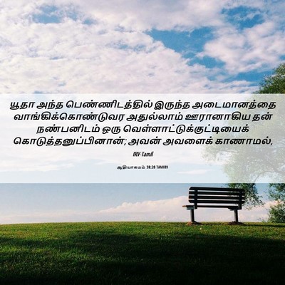 Picture 06 - ஆதியாகமம் 38:20 TAMIRV - யூதா அந்த - Bible Verse Picture