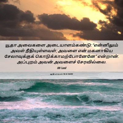 Picture 06 - ஆதியாகமம் 38:26 TAMIRV - யூதா அவைகளை - Bible Verse Picture