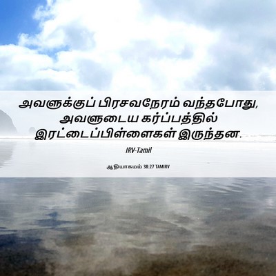 Picture 06 - ஆதியாகமம் 38:27 TAMIRV - அவளுக்குப் - Bible Verse Picture