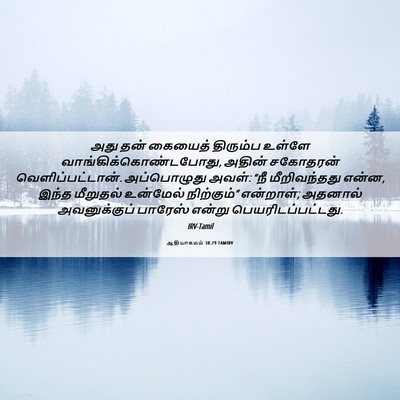 Picture 06 - ஆதியாகமம் 38:29 TAMIRV - அது தன் கையைத் - Bible Verse Picture