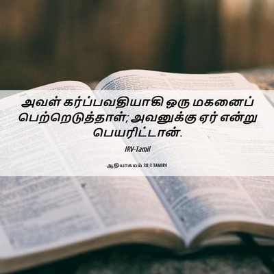 Picture 06 - ஆதியாகமம் 38:3 TAMIRV - அவள் - Bible Verse Picture