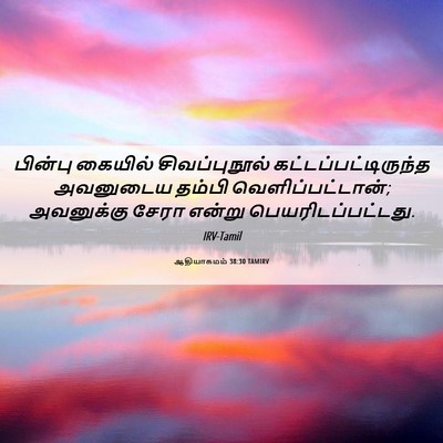 Picture 06 - ஆதியாகமம் 38:30 TAMIRV - பின்பு கையில் - Bible Verse Picture