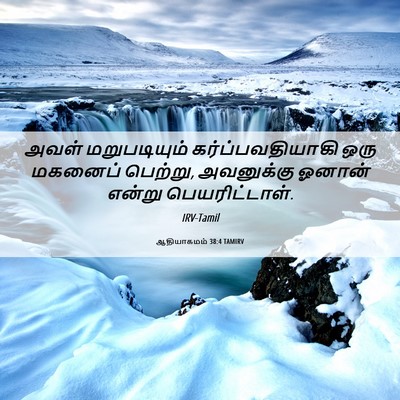 Picture 06 - ஆதியாகமம் 38:4 TAMIRV - அவள் மறுபடியும் - Bible Verse Picture