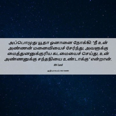 Picture 06 - ஆதியாகமம் 38:8 TAMIRV - அப்பொழுது யூதா - Bible Verse Picture