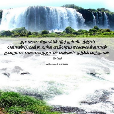 Picture 06 - ஆதியாகமம் 39:17 TAMIRV - அவனை நோக்கி: “நீர் - Bible Verse Picture