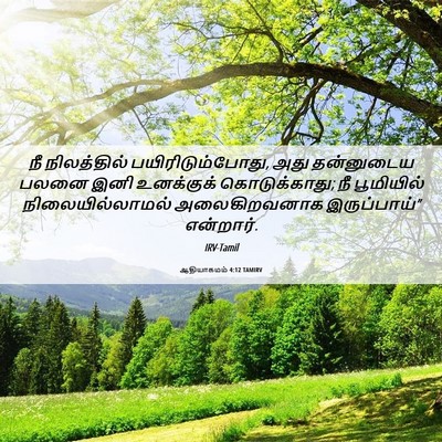 Picture 06 - ஆதியாகமம் 4:12 TAMIRV - நீ நிலத்தில் - Bible Verse Picture