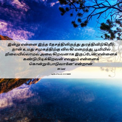 Picture 06 - ஆதியாகமம் 4:14 TAMIRV - இன்று என்னை இந்த - Bible Verse Picture