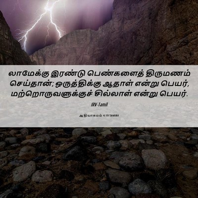 Picture 06 - ஆதியாகமம் 4:19 TAMIRV - லாமேக்கு இரண்டு - Bible Verse Picture