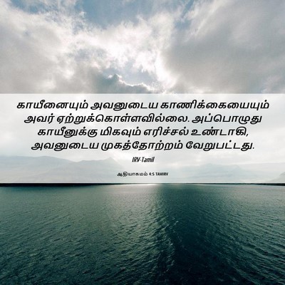 Picture 06 - ஆதியாகமம் 4:5 TAMIRV - காயீனையும் - Bible Verse Picture