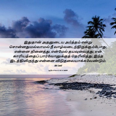 Picture 06 - ஆதியாகமம் 40:14 TAMIRV - இதுதான் அதனுடைய - Bible Verse Picture