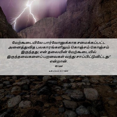 Picture 06 - ஆதியாகமம் 40:17 TAMIRV - மேற்கூடையிலே - Bible Verse Picture
