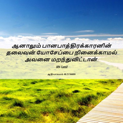 Picture 06 - ஆதியாகமம் 40:23 TAMIRV - ஆனாலும் - Bible Verse Picture
