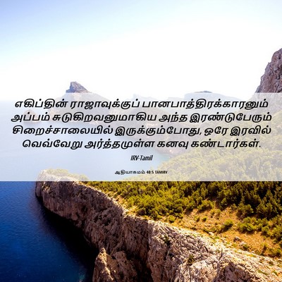 Picture 06 - ஆதியாகமம் 40:5 TAMIRV - எகிப்தின் - Bible Verse Picture