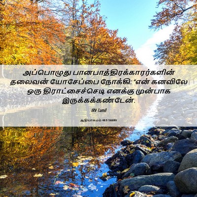 Picture 06 - ஆதியாகமம் 40:9 TAMIRV - அப்பொழுது - Bible Verse Picture