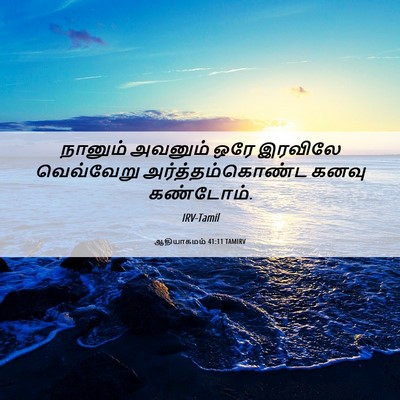 Picture 06 - ஆதியாகமம் 41:11 TAMIRV - நானும் அவனும் ஒரே - Bible Verse Picture