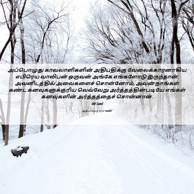 Picture 06 - ஆதியாகமம் 41:12 TAMIRV - அப்பொழுது - Bible Verse Picture