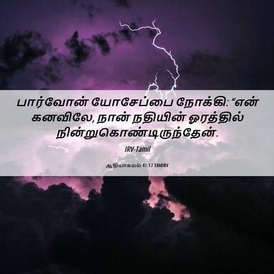 Picture 06 - ஆதியாகமம் 41:17 TAMIRV - பார்வோன் யோசேப்பை - Bible Verse Picture