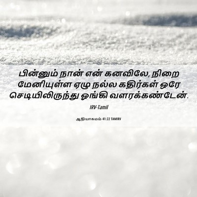 Picture 06 - ஆதியாகமம் 41:22 TAMIRV - பின்னும் நான் என் - Bible Verse Picture